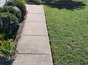 Loretta W.'s lawn care services service result