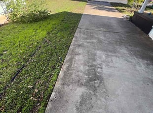 Bhanu S.'s turf care service result