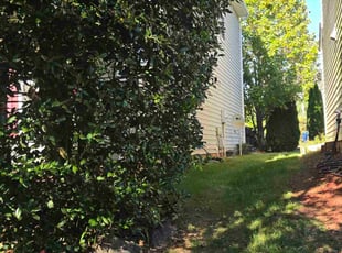 Robert M.'s turf care service result