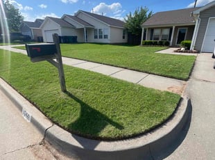 Katrina B.'s Cleanups service result