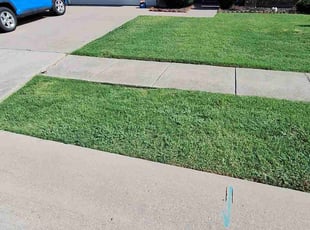 James Q.'s lawn service service result