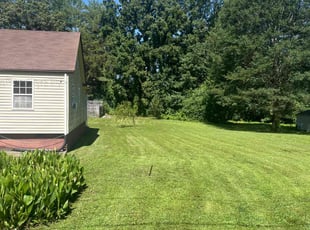 Chelsea A.'s turf care service result