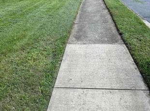 Vivian H.'s lawn service service result