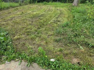 James B.'s lawn care service result