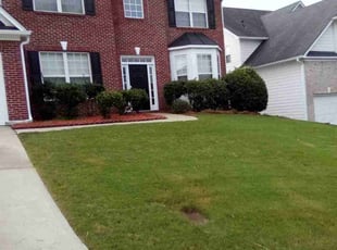 Jason H.'s lawn maintenance service result