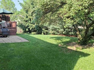 Cassandra H.'s lawn care services service result