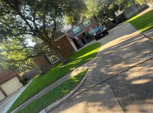 Giovanni B.'s grass maintenance service result