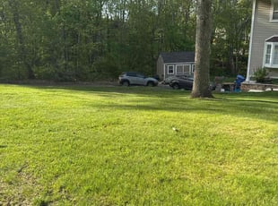 Nora R.'s lawn service service result