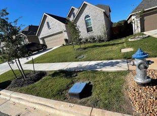 Lamar M.'s lawn care service result