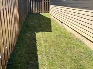 Loretta R.'s lawn care service result