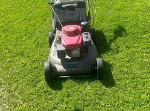 Gladys B.'s lawn service service result