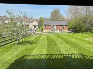 Carl F.'s grass maintenance service result