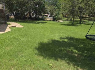 Sherrie W.'s turf maintenance service result