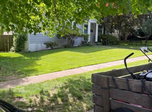 Harold C.'s turf care service result