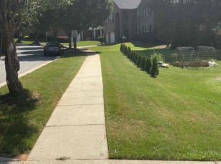 Chris L.'s lawn service service result