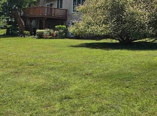 Robert S.'s lawn care services service result