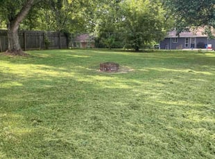 Serge S.'s lawn service service result