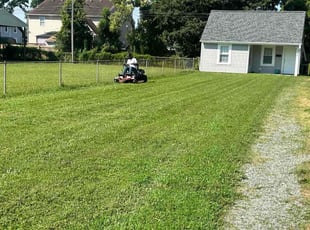 Duke E.'s lawn care service result