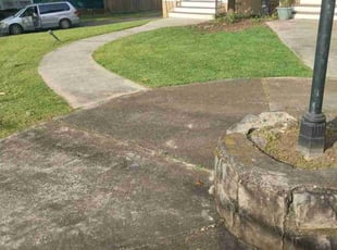Olivia H.'s lawn care service result