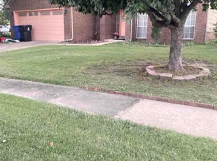 Cameron G.'s lawn maintenance service result