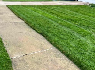 Peggy B.'s lawn service service result
