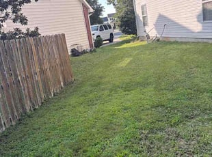 Austen O.'s turf care service result