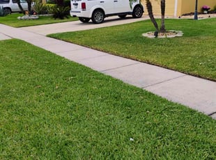 Alexa A.'s grass maintenance service result