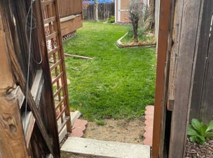 Chad G.'s turf care service result