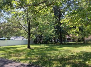 Katherine C.'s grass maintenance service result