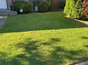 Steffany M.'s lawn maintenance service result