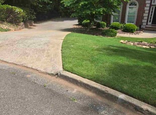Michelle M.'s lawn service service result