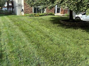 Keisha Y.'s lawn care service result