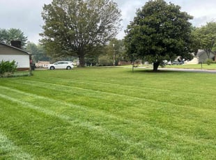 Jb M.'s turf care service result