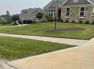 Colleen F.'s lawn care services service result