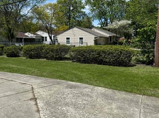 John B.'s turf care service result