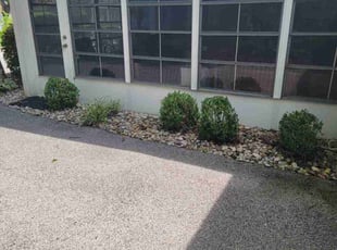 Gloria W.'s Bush Trimming service result