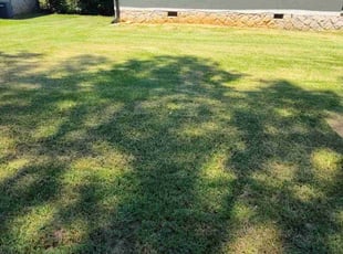 Jekisha G.'s lawn care service result