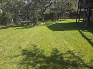 Susan K.'s lawn care service result