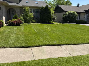 Susan D.'s turf maintenance service result