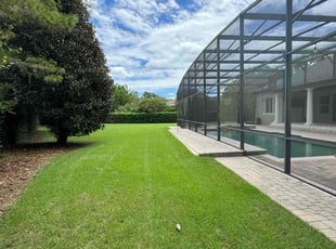 Steven N.'s grass maintenance service result