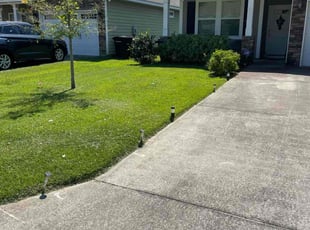 Scott S.'s turf care service result