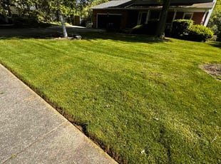 Gregory T.'s lawn care service result
