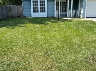 Casey D.'s lawn care service result