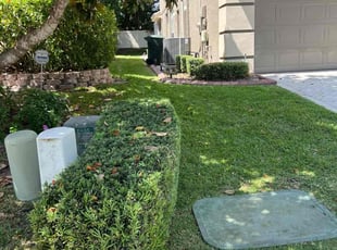 Karen H.'s Bush Trimming service result