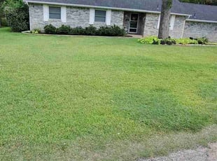 Joel M.'s turf care service result