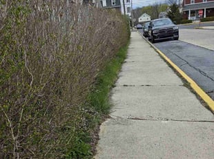James E.'s lawn care service result