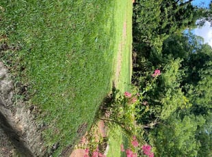 Reginald O.'s lawn maintenance service result