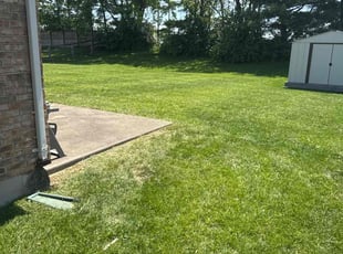 Cleusa R.'s lawn maintenance service result