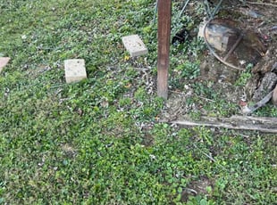 Calvin L.'s lawn service service result