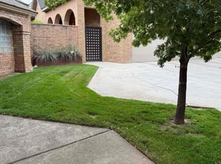 James G.'s turf maintenance service result